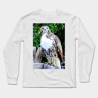 Red Tailed Hawk Long Sleeve T-Shirt